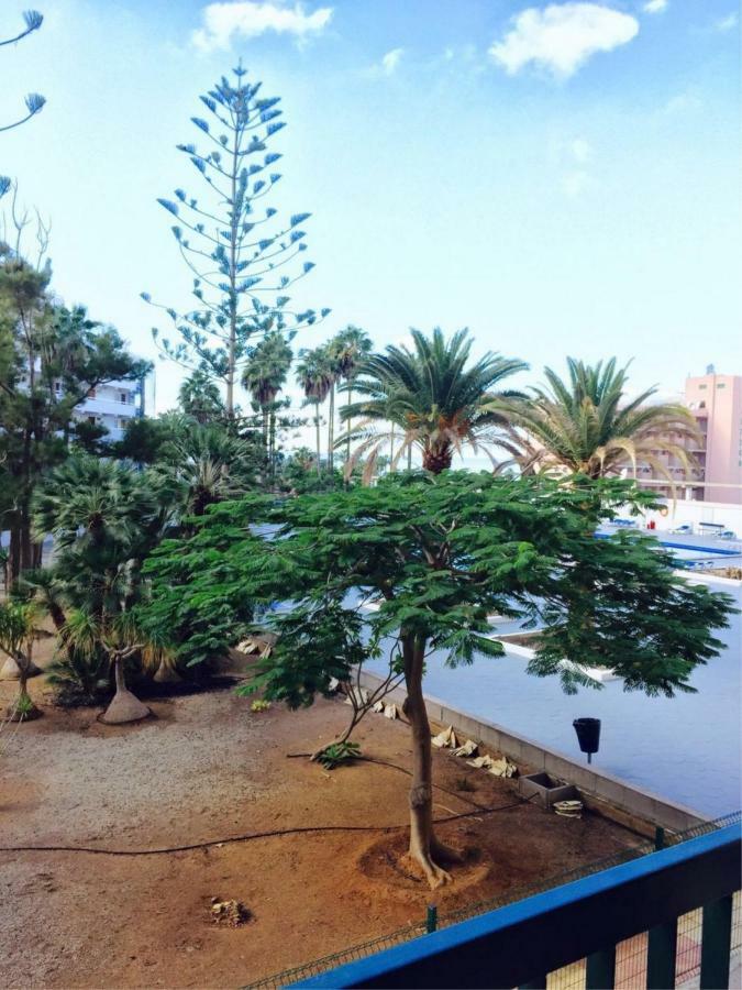 Enjoy The Sea And Pool In Playa De Las Americas Extérieur photo